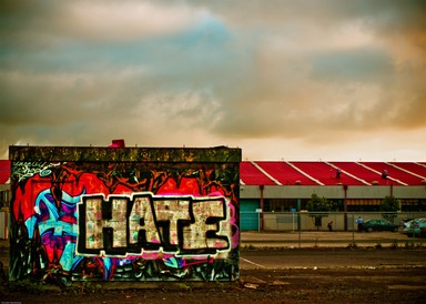  those who love ideas and those who hate them. ~EMILE CHARTIER~